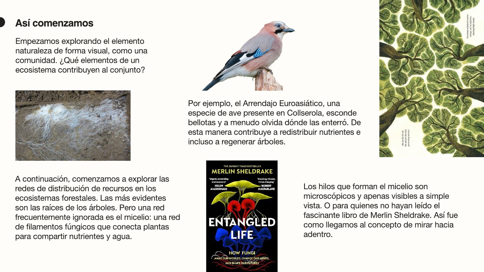 Vall de Vidre — page 14 of 74