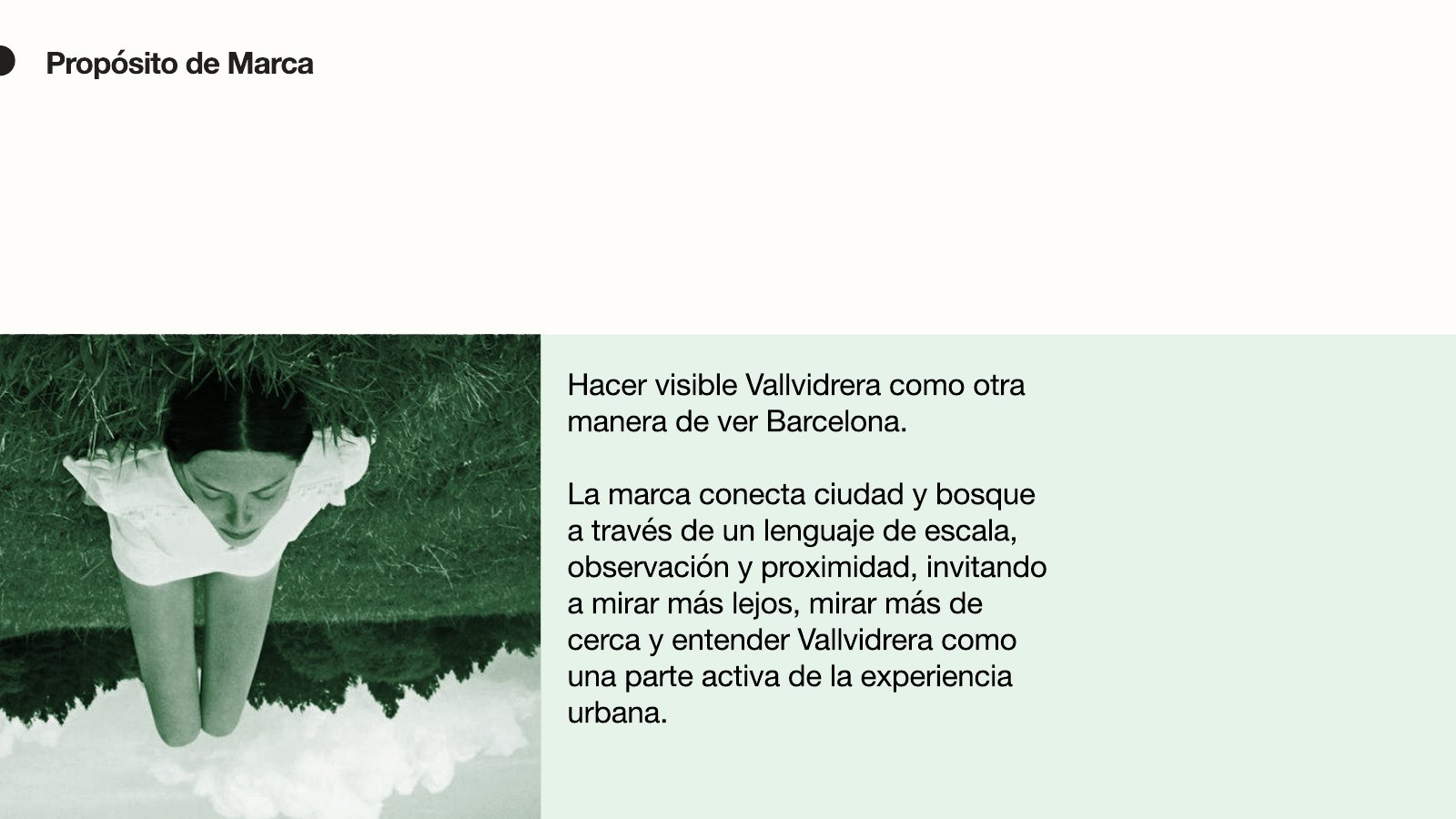 Vall de Vidre — page 20 of 74