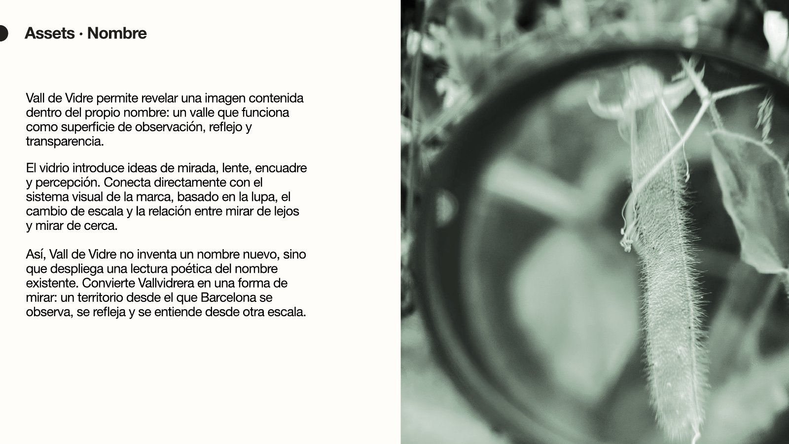 Vall de Vidre — page 38 of 74