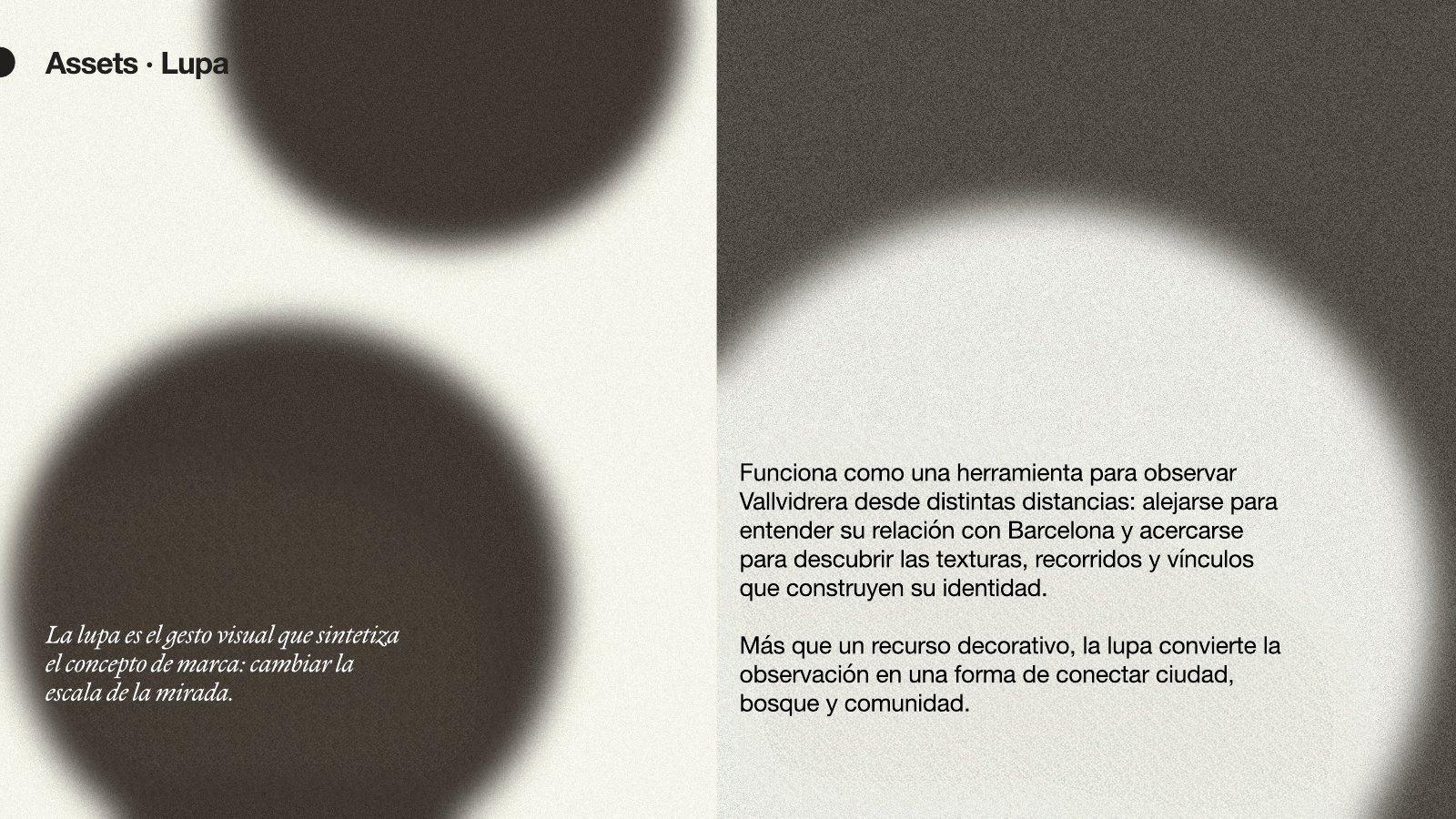 Vall de Vidre — page 43 of 74